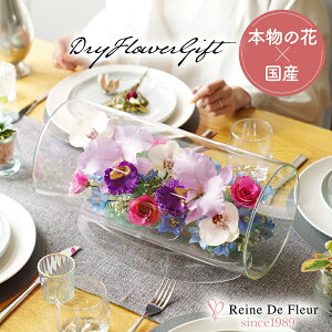 ft[ { {gt[ hCt[ o Ӓ v[g Mtg CeA җj a ̓ hV̓ NLO ACj  t[ KX Tube L