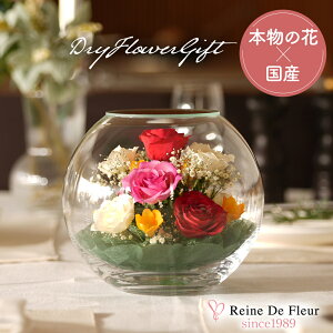 ft[ { {gt[ hCt[ o v[g Mtg CeA җj a ̓ hV̓ NLO ACj  t[ KX Bowl M