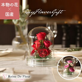 レンデフロール 日本製 ボトルフラワー ドライフラワー バラ プレゼント ギフト インテリア 還暦祝い 誕生日 母の日 敬老の日 周年記念 就任祝い 花 フルール ガラス Dome M