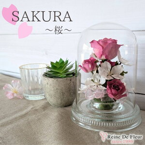 ft[ {   {gt[ hCt[ o v[g Mtg CeA җj a ̓ hV̓ NLO ACj  t[ KX Dome S sakura