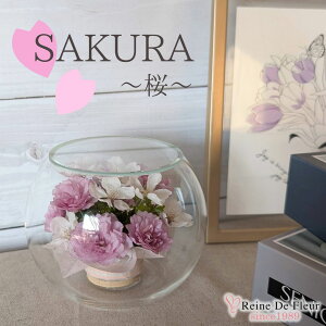 ft[ {   {gt[ hCt[ o v[g Mtg CeA җj a ̓ hV̓ NLO ACj  t[ KX Bowl S-sakura