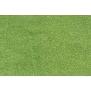 i荗|10ZbgiہjA3TCY(297mm×420mm)ay[p[ap
