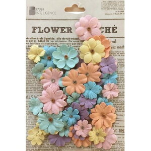 y[p[p[c@1܁@t[}VF XeCV[@pXeA\[g