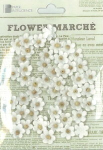 t[}VFy[p[p[c }CNy^ zCg40ZbgXNbvubLO⃁bZ[WJ[h̃fR[Vpy[p[莆Aõ|Cg