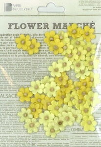 �y�[�p�[�p�[�c �t�����[�}���V�F �}�C�N���y�^�� �C�G���[�i��40���Z�b�g�j�����X�N���b�v�u�b�L���O�⃁�b�Z�[�W�J�[�h�̃f�R���[�V�����p�y�[�p�[�莆��A���o������̃����|�C���g