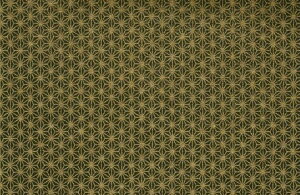 iFT10Zbg@A3TCY(297mm×420mm)#̏@^{`͗ly[p[^{ap