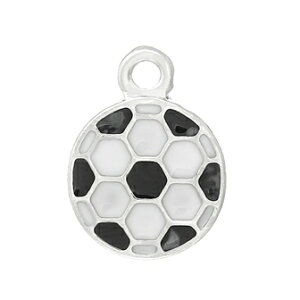 TbJ[{[`~ji10j^`[iGijX|[c`[t nhCh̍ޗɃANZT[p[clbNXsAXuX16mm×12mm