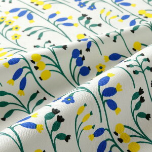 ikippisIbNXn@PhŁiCgO[jJbgNX110cm×50cmi3Zbgj{@ppOK