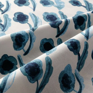 ikippisV[`On@NbJlȉԁiAC{[jJbgNX110cm×50cmi3Zbgj{@ppOK