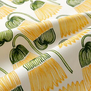 ikippisIbNXn@XsiԒB̂₫iAC{[jJbgNX110cm×50cmi3Zbgj{@ppOK