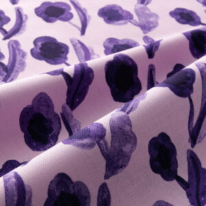 ikippisV[`On@NbJlȉԁisNjJbgNX110cm×50cmi3Zbgj{@ppOK