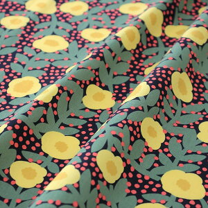 ikippisV[`On@ԉLentokukkaiCG[jJbgNX110cm×50cmi3Zbgj{@ppOK