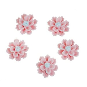 t[ԁ@30 J{V sNnF@\t|ANZT[p[cXNbvubLOWޗ TCY12mm