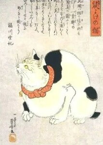 i|XgJ[h 10Zbg@̐썑F G L sL̋ȋf