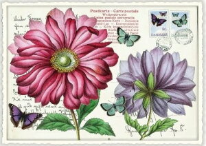 ihCc|XgJ[h 10Zbg@t[PK663