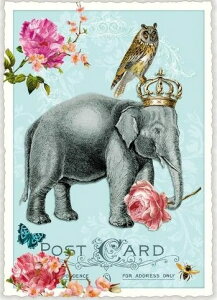 ihCc|XgJ[h 10Zbg@t[PK699