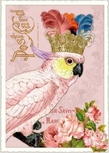 ihCc|XgJ[h 10Zbg@t[PK704