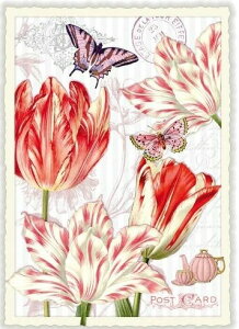 ihCc|XgJ[h 10Zbg@t[PK784