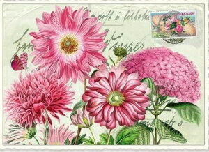 ihCc|XgJ[h 10Zbg@t[PK793