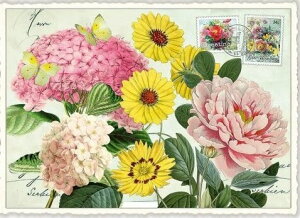 ihCc|XgJ[h 10Zbg@t[mix