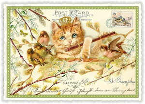 hCc|XgJ[h 1@_CJbgHi~[WJLbgj˂fUCbZ[WJ[hPK952