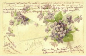 itX|XgJ[h@gD[[Y(BIbg)@݂@5Zbg@bZ[WJ[h