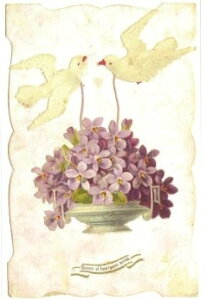 itX|XgJ[h@gD[[Y(BIbg)@݂@5Zbg@bZ[WJ[h