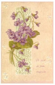 itX|XgJ[h@gD[[Y(BIbg)@݂@5Zbg@bZ[WJ[h