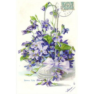 tX|XgJ[h 1@gD[[Y(BIbg)@݂ tbZ[WJ[h