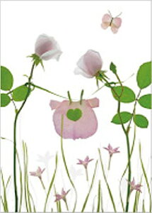 i|XgJ[hBaby tX 10Zbg@fUCbZ[WJ[h