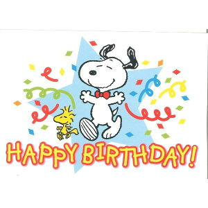 iPEANUTS |XgJ[h Xk[s[^hCc|XgJ[h 10Zbg@fUCtbZ[WJ[h