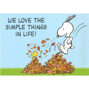 iPEANUTS |XgJ[h Xk[s[^hCc|XgJ[h 10Zbg@fUCtbZ[WJ[h