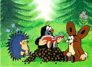 i|XgJ[h 10Zbg@hCcA@NeNiǏj