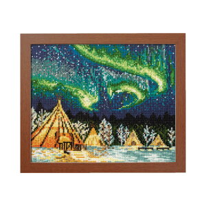 i䂤pPbg NXXeb`hJLbgiCG[iCt̃I[@Ji_jOLYMPUSIpXiz͕ʔj