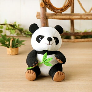 iʂ݃Lbgip_̈ǐmjIpXnhChLbg