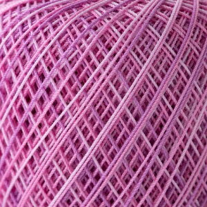 iIpX^eBO[Xiׁj40m×3Zbg@FT503@1ڂ̉摜Ώۏi