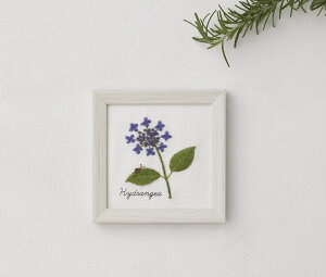 iCOSMORX@hイLbg@ؘaq@12̐A蒟 AWTC@t[t|pi[J[VAnhChLbg