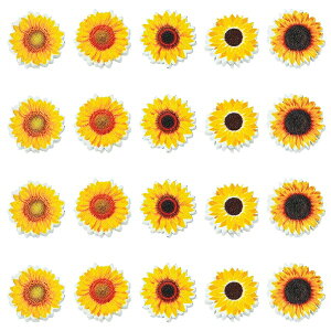 ؃Ebhr[Y@Ԍ^~bNXJ[i30jNtgWOODؐr[Y@18~20x5.5~6.5mm