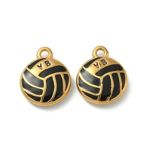 i304XeX`[@o[{[fUC(10) ZX|[c@^`[ANZT[p[cnhChޗ