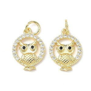 i^JCXg[`[@ӂ낤fUC(10) Owl^`[ANZT[p[cnhChޗ