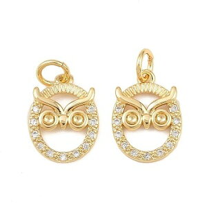 i^JCXg[`[@ӂ낤fUC(10) Owl^`[ANZT[p[cnhChޗ