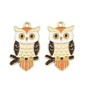 i^`[@ӂ낤fUC(100) Owl^`[ANZT[p[cnhChޗ