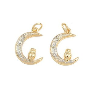 i^J18KGPbL^`[@ӂ낤fUC(5) Owl^`[ANZT[p[cnhChޗ