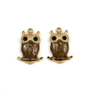 iXeX^`[@ӂ낤fUC(3) Owly_g`[ANZT[p[cnhChޗ