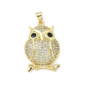 i^JCXg[`[@ӂ낤fUC(5) Owl^`[ANZT[p[cnhChޗ