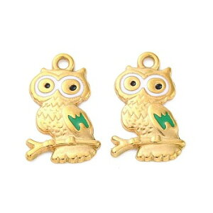 i304XeX18KGPbL^`[@ӂ낤fUC(10) Owly_g`[ANZT[p[cnhChޗ