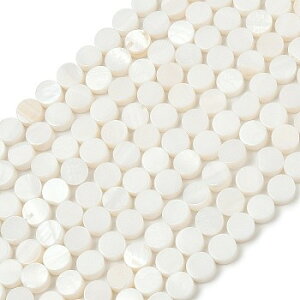 �����i���V�F���r�[�Y�@�~�`�i��300�j�L�k�f�ރr�[�Y�@6~6.5x2.5~3mm