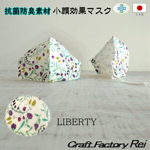 oeB }XN S R hLH Ԃɂg鐶nō̃}XN ^i[ ؂̎ 􂦂}XN l}XN dp 傫  ʃTCY p jp 100