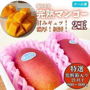 �y���Ԍ��������I���I�i�z�������� ���2L�ȏ��2�� �ēc�_���̔Z�����n�}���S�[ ���ϔ����� ������ �M�t�g �t���[�c �ʕ� �䒆�� �����i �G�߂̉ʕ� �M�t�g �v���[���g
