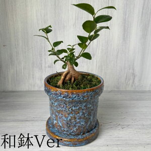  Iׂ  ϗtA ~j K炷삪Zޖ KW}̖ yy~A A av[g j  c  N ސEj  a ܂ 蕨